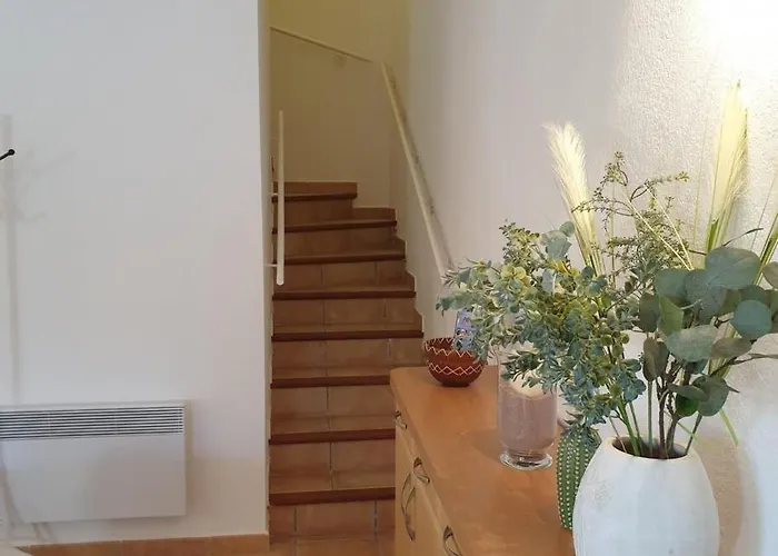 Mini Messicana 5 Pers Piscine 500 M * レクシ